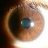 solcit0