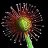 dionaea10