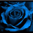 rosa azul 1967